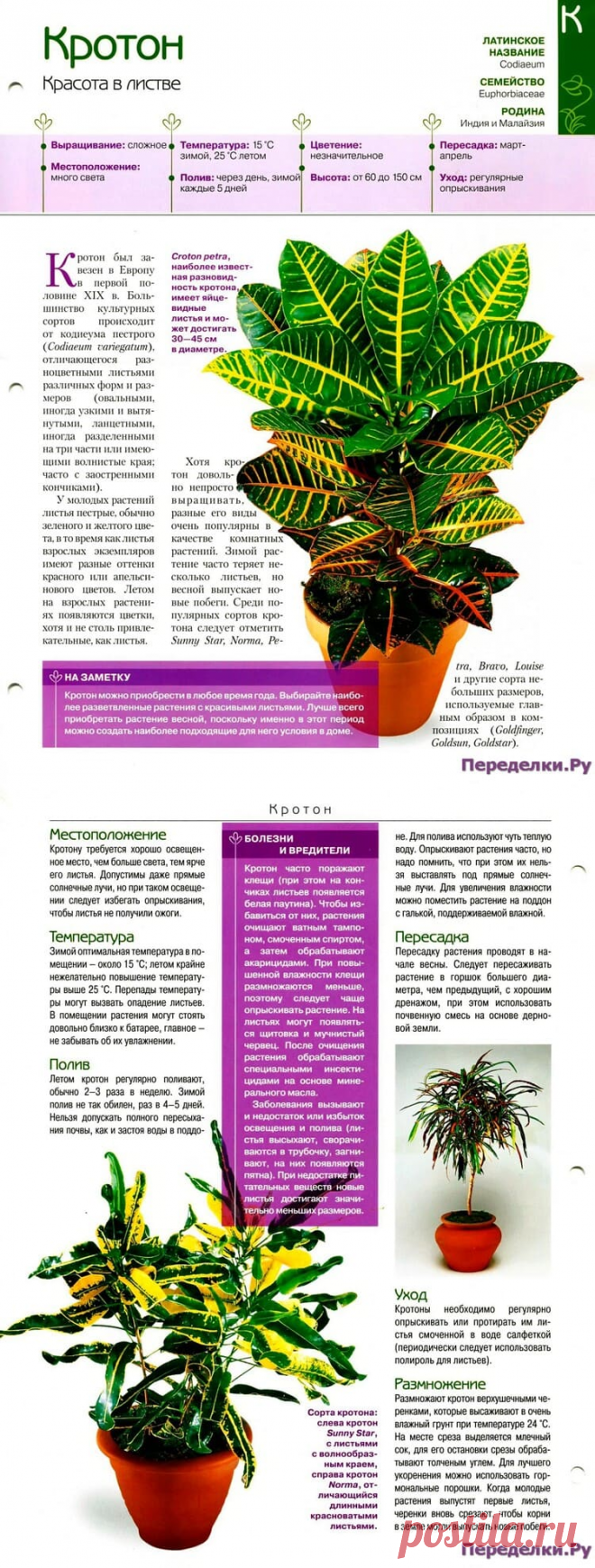 Кротон * Переделки.РуПеределки.Ру