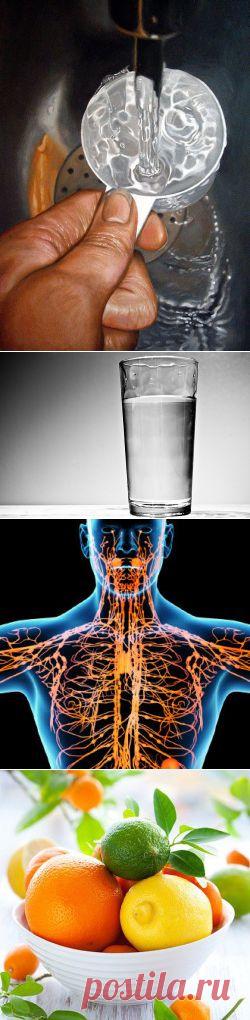 Выпивай 4 стакана воды после пробуждения. Что из этого выйдет — просто невероятно! | Golbis