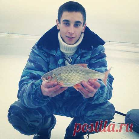 веселовское водохранилище..плотва 0.5 кг / Богатая добыча