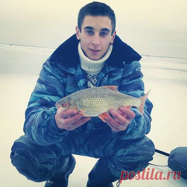 веселовское водохранилище..плотва 0.5 кг / Богатая добыча