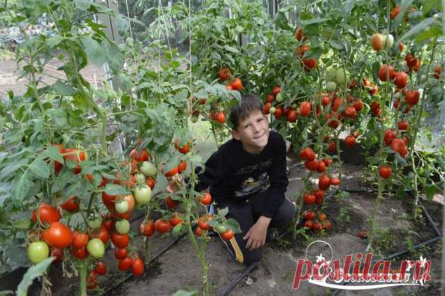 (14) Одноклассники