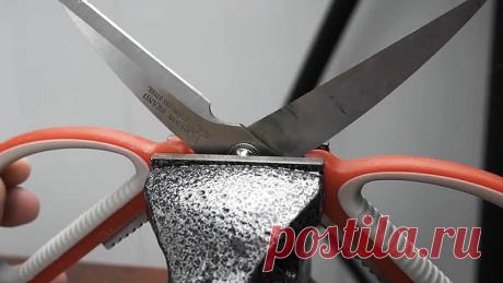 Сам себе мастер