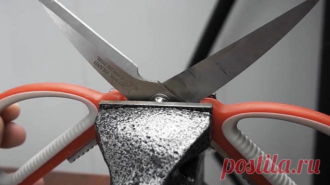 Сам себе мастер