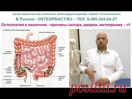 Остеопатия и кишечник - причины запора, диареи, метеоризма – ч.1 - YouTube