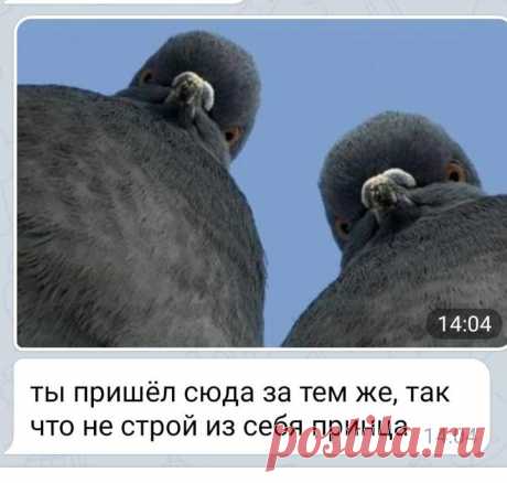 «Нищебродам просьба не беспокоить. Ищу топ-менеджера с квартирой в центре». Женщины высмеяли мужчин в Тиндере - Кликабол. Всё самое интересное - здесь - медиаплатформа МирТесен
