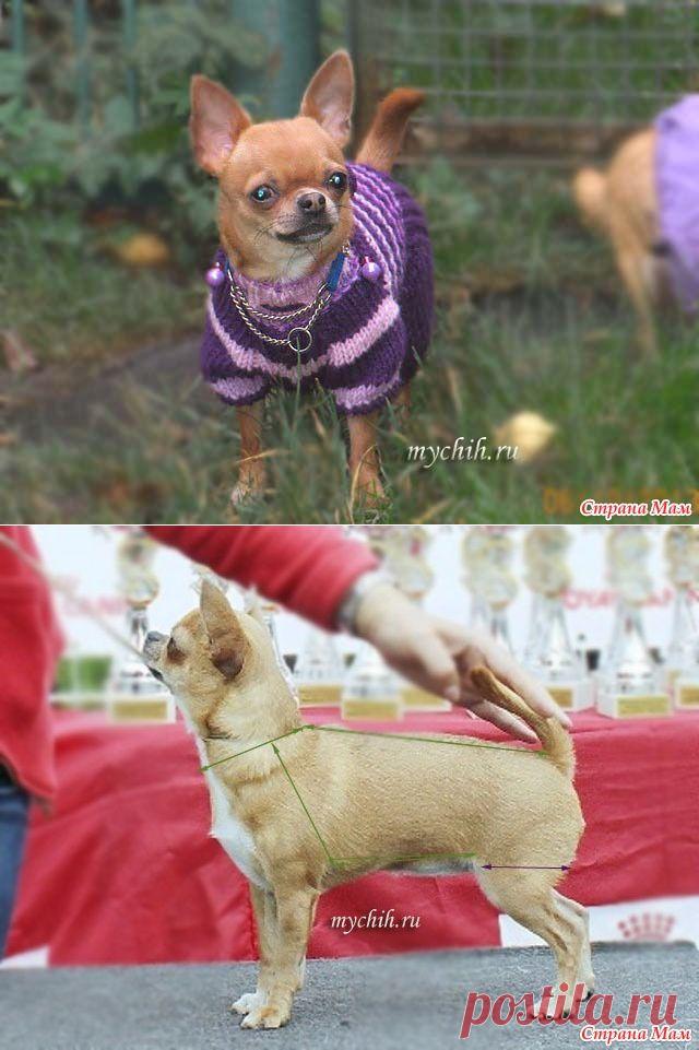 Комбинезончик для чишки (небольшой МК) - Вязание - Страна Мам