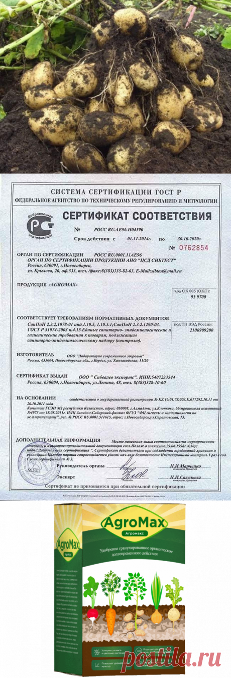 Mednews - портал о медицине в России
