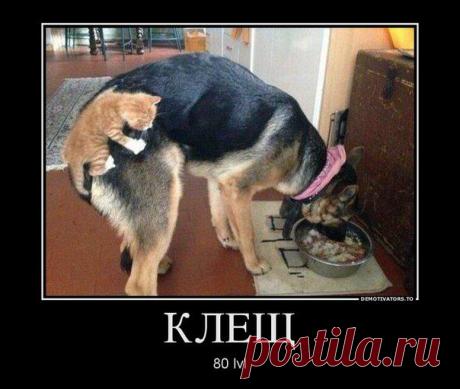 Уведомления