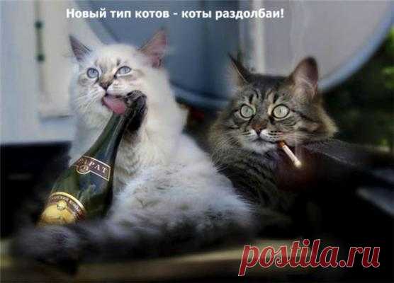 С ДОБРЫМ УТРОМ!!!! - ОБЩЕНИЕ И ВСЕ САМОЕ ИНТЕРЕСНОЕ. - Группы Мой Мир