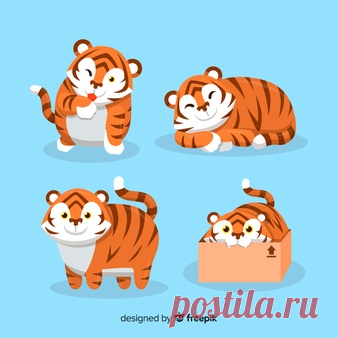 Симпатичная коллекция тигра | Бесплатно векторы