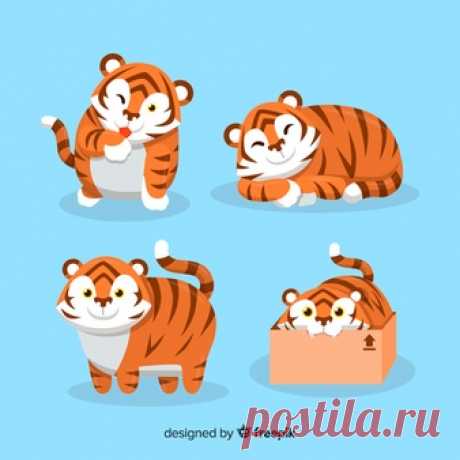 Симпатичная коллекция тигра | Бесплатно векторы