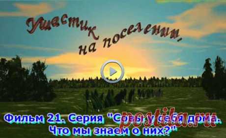 21 фильм о жизни ушастых сов