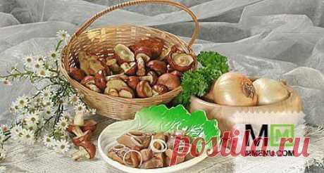 МАСЛЯТА МАРИНОВАННЫЕ – рецепт консервирования