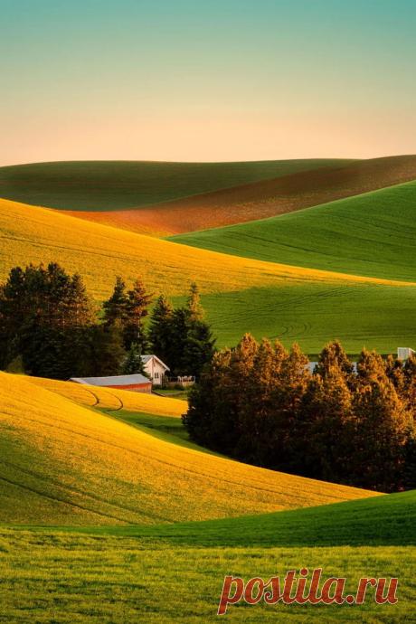 Trees and houses in the hills