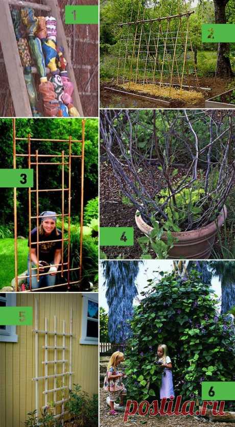 Roundup: 6 DIY Garden Trellis Ideas