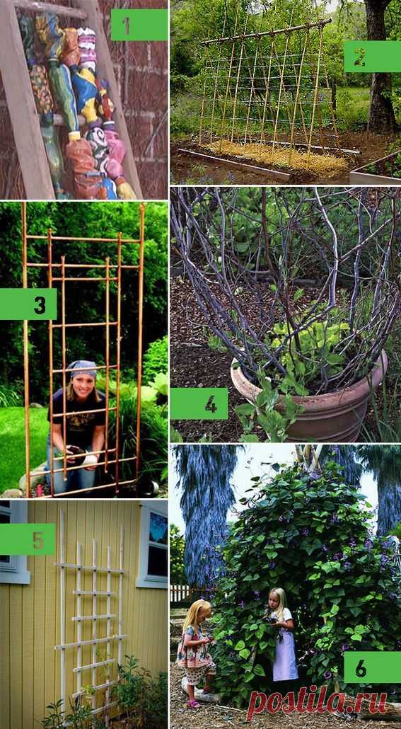 Roundup: 6 DIY Garden Trellis Ideas