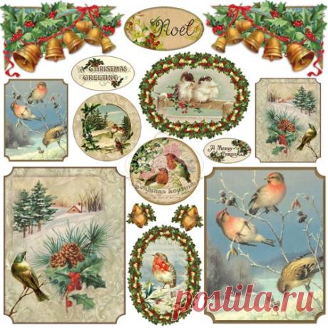 бумага для блокнотов со снегирями: 10 тыс изображений найдено в Яндекс.Картинках