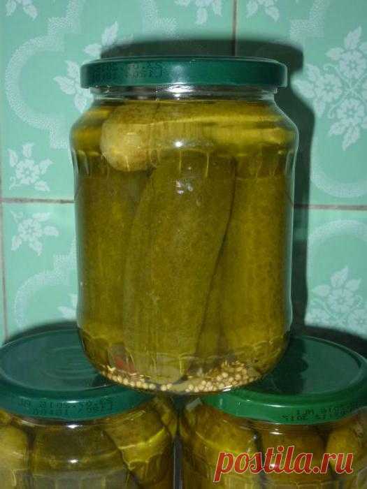 Огурцы с лимонной кислотой на зиму: пошаговый рецепт