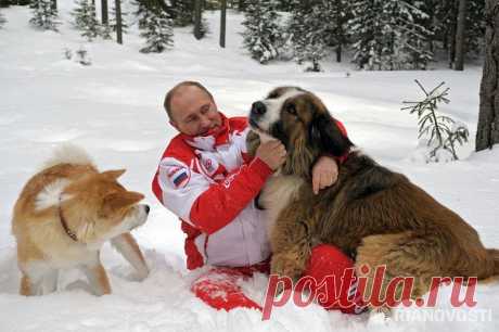 (97) Одноклассники