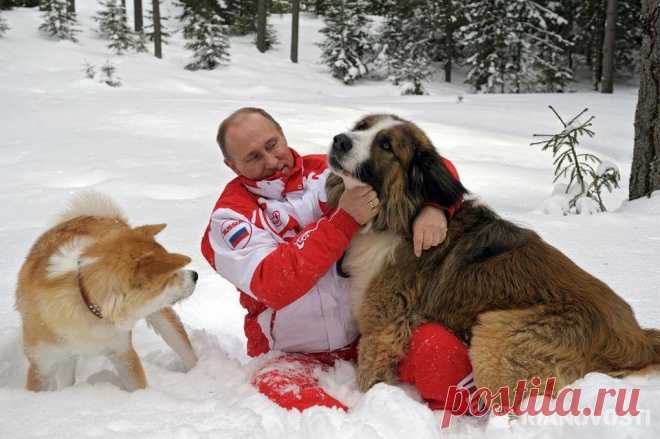 (97) Одноклассники