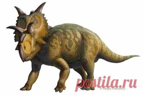 Xenoceratops by atrox1 on DeviantArt