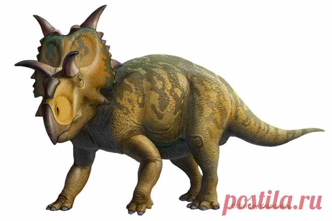 Xenoceratops by atrox1 on DeviantArt