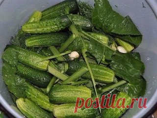 (15) Одноклассники