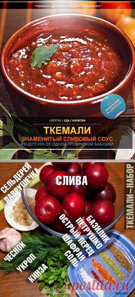 ТКЕМАЛИ ДЛЯ ВСЕХ НАШИХ ГЕНАЦВАЛИ