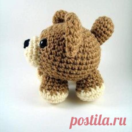 Мастер-класс собаки