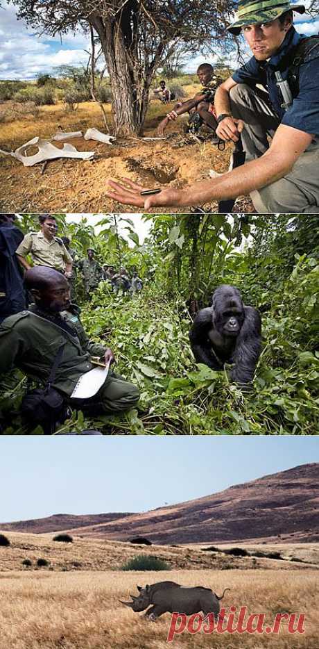 Get Involved: How to Help - National Geographic Adventure Magazine