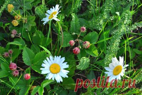 А. Зараев: понедельник - день тяжелый, с 23 числа все наладится | Что нас ждет в будущем | Дзен