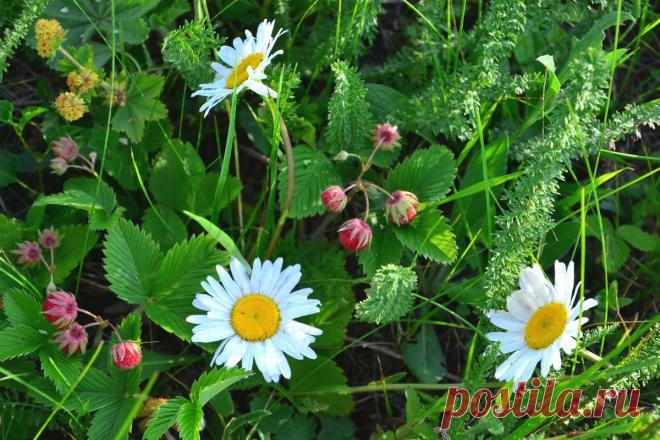 А. Зараев: понедельник - день тяжелый, с 23 числа все наладится | Что нас ждет в будущем | Дзен