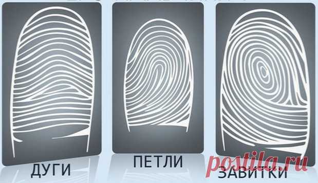 Что означает каждый узор на ваших пальцах? - У нас так ШТРИХ-КОД СУДЬБЫ Что означает каждый узор? Это интересно! Если внимательно посмотреть на подушечки пальцев, можно увидеть, что линии складываются в строгие узоры. Это могут быть дуги, петли и...