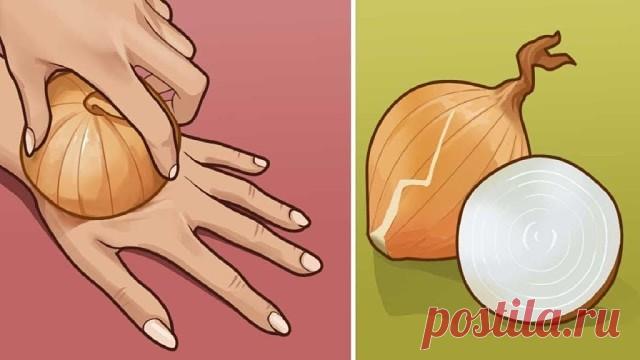 Сырой лук — источник молодости и сильнейший регенератор клеток! Берем самую обычную луковицу…

Одно из самых ярких впечатлений про лук, конечно же, родом из детства. Помню, как в младших классах на уроке труда весь класс дружно готовил винегрет. Так получилось, что непростая миссия нарезки лука выпала на долю моего друга, очень хрупкого и утонченного мальчика, настоящего аристократа. Он плакал всерьез: поток слёз было не остановить. Он даже не пытался сопротивляться силе л...