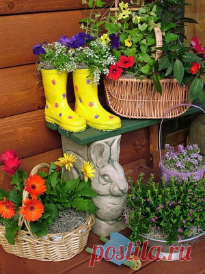 Контейнерный сад: цветы для сада в контейнерах, идеи посадки растений в цветочные конвейеры