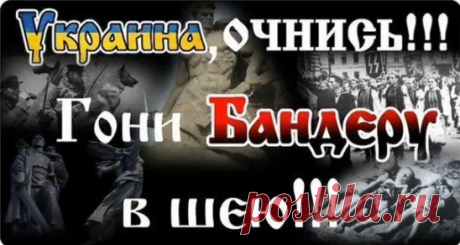 03.06.15 Займитесь лучше индейцами, а не Украиной, - митинг под посольством США в Киеве
https://www.youtube.com/watch?v=ge35yhgvWGA