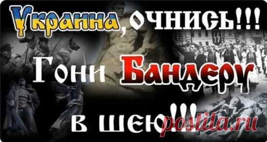 03.06.15 Займитесь лучше индейцами, а не Украиной, - митинг под посольством США в Киеве
https://www.youtube.com/watch?v=ge35yhgvWGA