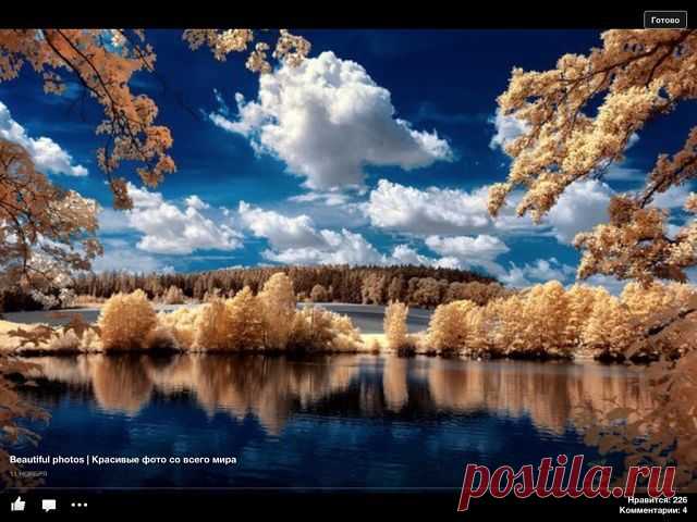 красота