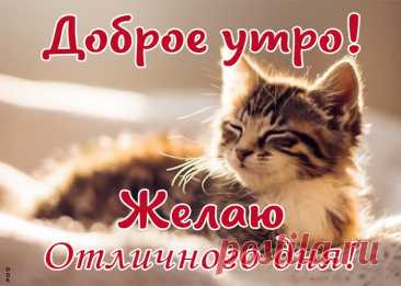 Драгоценная открытка, доброго утра и отличного дня | Открытки Онлайн