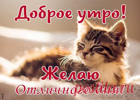 Драгоценная открытка, доброго утра и отличного дня | Открытки Онлайн