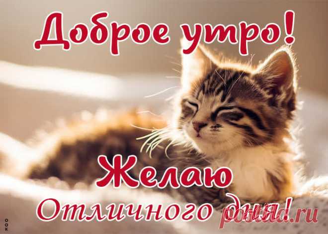 Драгоценная открытка, доброго утра и отличного дня | Открытки Онлайн
