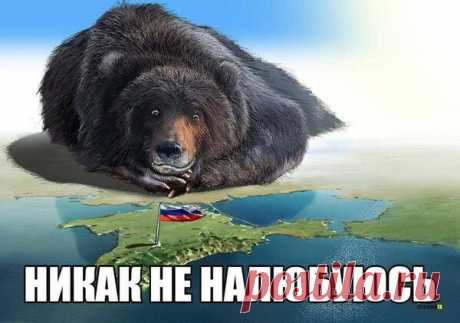 Без комментов...