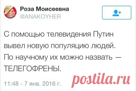 Телегофрения - сильное психическое расстройство, приобретенное в результате длительного воздействия пропаганды посредством телевизора. В начальной стадии больной начинает не осознанно ретранслировать киселевых, соловьевых и прочий бред. В дальнейшем сознание больного полностью искажается и он перестает объективно воспринимать действительность, становится агрессивен и не предсказуем.