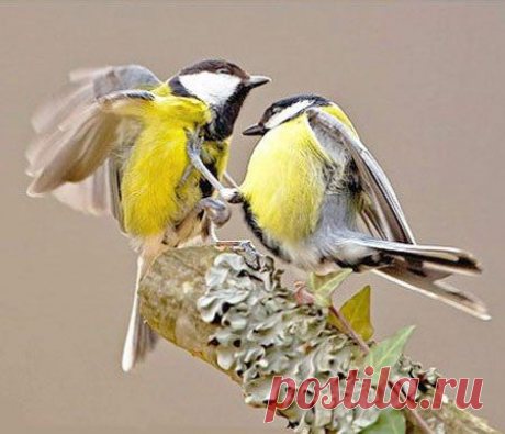 Интересные новости