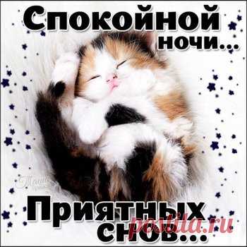 Открытки с пожеланием спокойной ночи и приятных снов