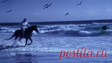 Andre Rieu - Bolero (Maurice Ravel)[1]