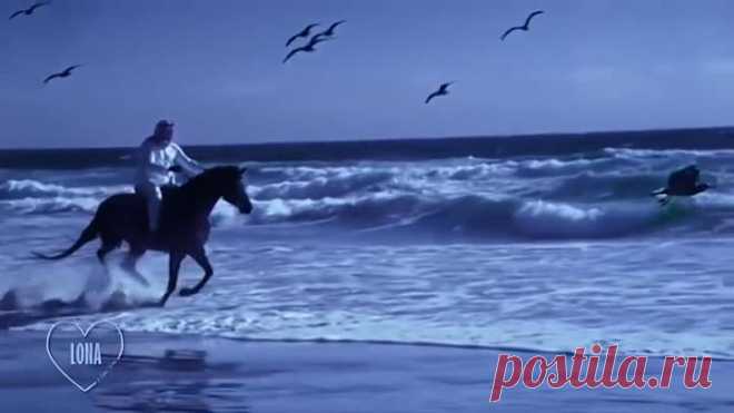 Andre Rieu - Bolero (Maurice Ravel)[1]