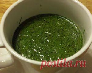 Уникальные отвары для исцеления почек