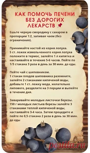 Как помочь печени без дорогих лекарств