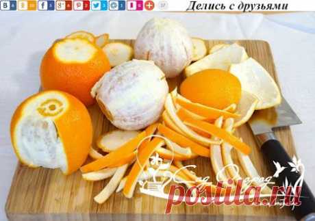 Готовь сани летом, а отходы зимой! Бесполезные отходы нашей жизнедеятельности…